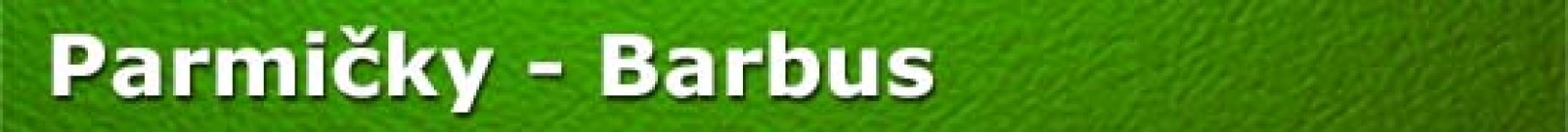 Parmicky - Barbus
